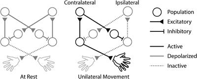 Cortical Stimulation Paired With Volitional Unimanual Movement Affects Interhemispheric Communication